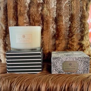 Trina Turk Champagne Rose, Scented Candles in White Sophisticated Glass Jar